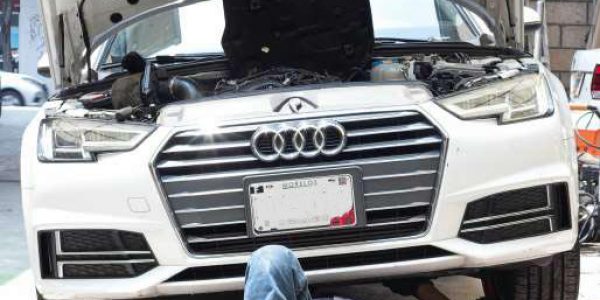 vitisse-27 [800x600]