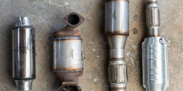 vitisse-42 [800x600]